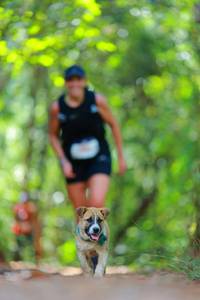 BIB: 
                            <button type="button" onclick="openModal(19014452)" class="btn btn-primary btn-sm float-right btn-popup" data-toggle="modal" data-target=".modal-high-quality">
                        <i class="fas fa-shopping-cart"></i> Add to Cart
                    </button>
                                            <button type="button" onclick="isThisMe(19014452, true)" class="btn btn-success btn-sm float-right btn-popup btn-isme hidden" data-toggle="tooltip" data-placement="bottom" title="นี่คือรูปของคุณใช่ไหม คลิกที่นี่เพื่อเอาเข้าอัลบั้ม">
                        <i class="fas fa-plus"></i> Add to album
                    </button>
                    <button type="button" onclick="isThisMe(19014452, false)" class="btn btn-warning btn-sm float-right btn-popup btn-isnotme hidden">
                        <i class="fas fa-ban"></i> Remove from album
                    </button>